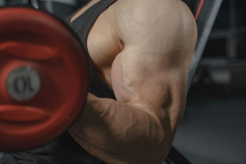 Body Building Fundamentals